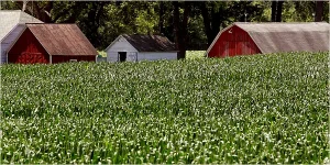Oil CEO says blaming the energy industry for the climate crisis ‘like blaming farmers for obesity’